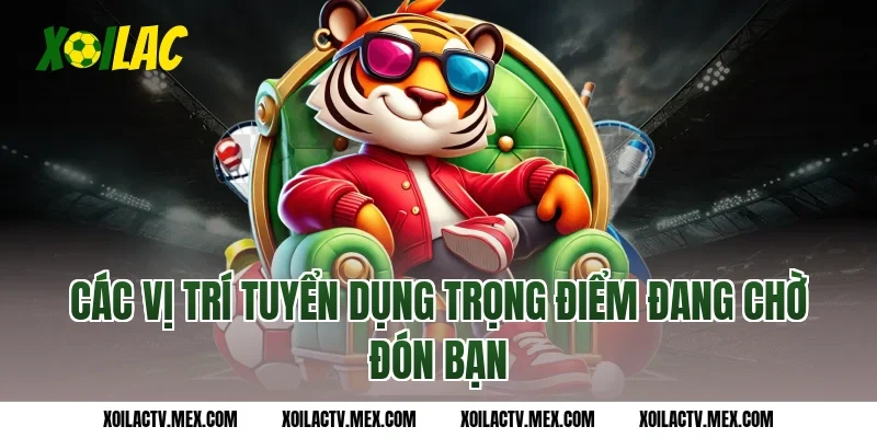 Các Vị Trí Tuyển dụng Trọng Điểm Đang Chờ Đón Bạn