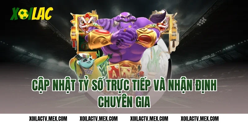 Cập nhật tỷ số Trực tiếp và nhận định chuyên gia