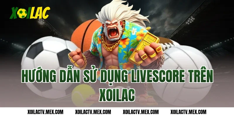 Hướng Dẫn Sử Dụng Livescore Trên Xoilac