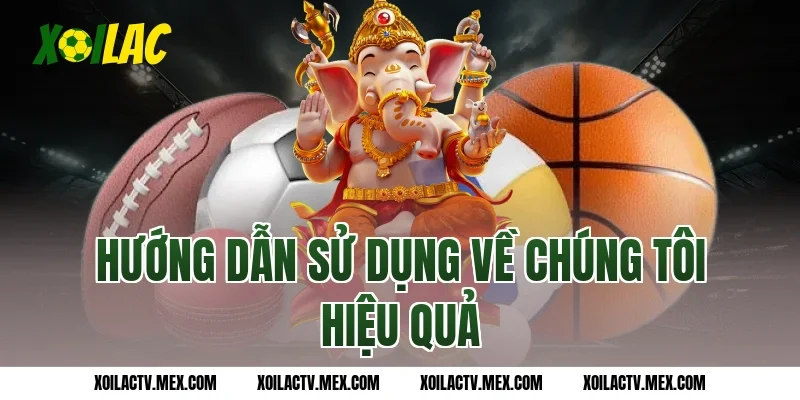 Hướng dẫn sử dụng Về chúng tôi hiệu quả
