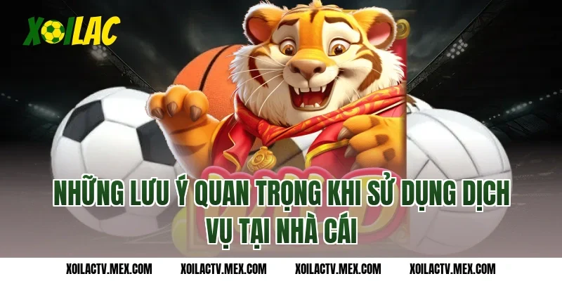 Những Lưu Ý Quan Trọng Khi Sử Dụng Dịch Vụ Tại nhà cái