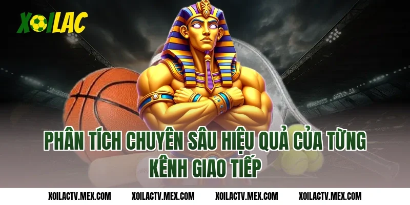 Phân Tích Chuyên Sâu Hiệu Quả Của Từng Kênh Giao Tiếp