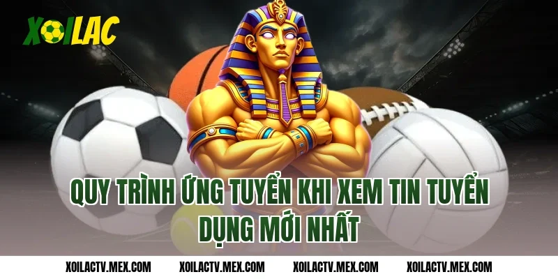 Quy Trình Ứng Tuyển Khi Xem Tin Tuyển dụng Mới Nhất