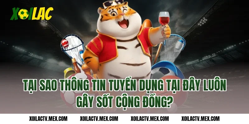 Tại Sao Thông Tin Tuyển dụng Tại Đây Luôn Gây Sốt Cộng Đồng?