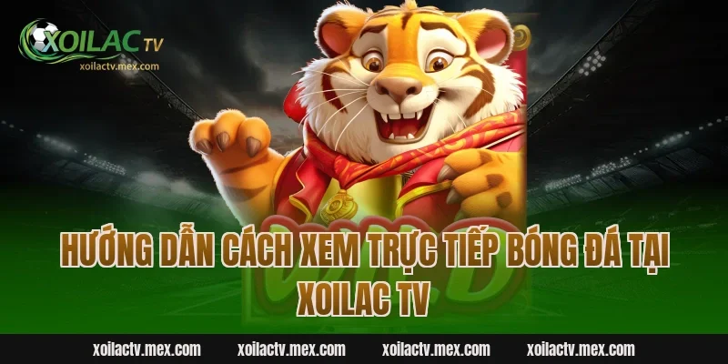 Hướng dẫn cách xem trực tiếp bóng đá tại Xoilac TV