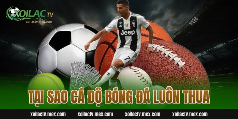 tại sao cá độ bóng đá luôn thua