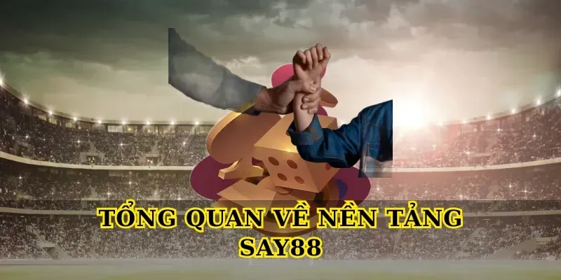 Tổng Quan Về Nền Tảng Say88